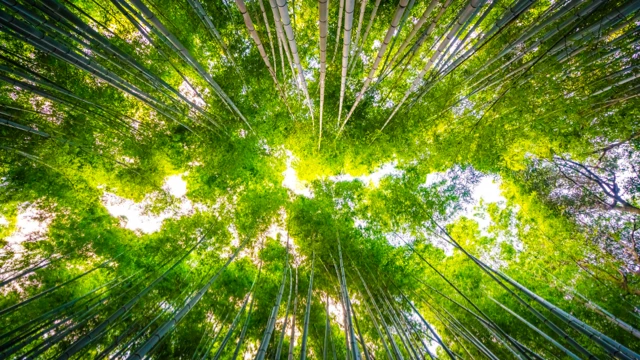 Environmentally responsible solar lighting production