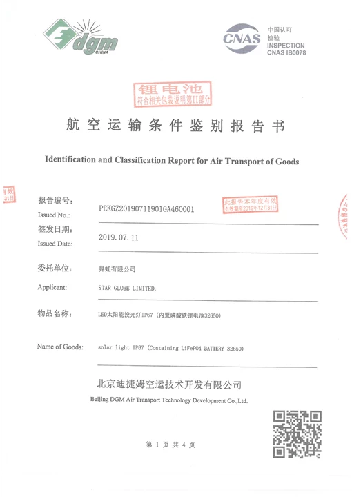 Identification and Classification Report for Air Transport of Goods