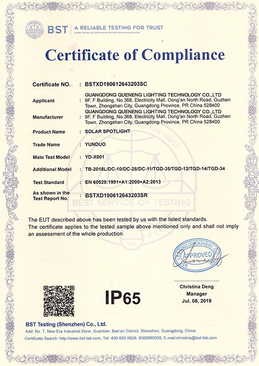 IP65